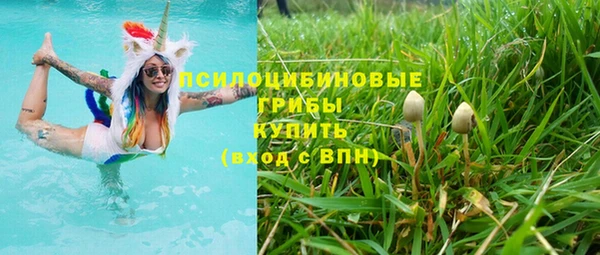 спайс Алексин