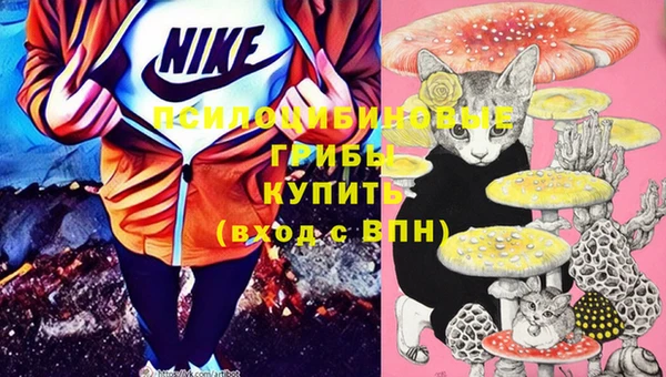 спайс Алексин