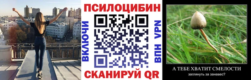 Галлюциногенные грибы Psilocybe  Алупка 